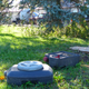 Image for article titled I Just Came Home to a Junkyard